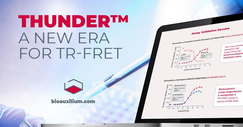 THUNDER™ Phospho-SMAD2 (S465/S467) TR-FRET Cell Signaling Assay Kit