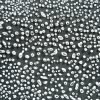 AMACO CRAWLS – CR12 – SPECKLED WHITE (PT)